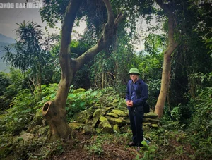 Unveiling the 200-Year-Old Mystery of the Ancient Thien Ly Road in Quang Binh - image 0