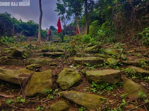 Unveiling the 200-Year-Old Mystery of the Ancient Thien Ly Road in Quang Binh - image 11