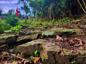 Unveiling the 200-Year-Old Mystery of the Ancient Thien Ly Road in Quang Binh - image 7