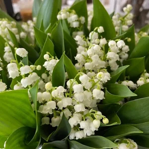 The Luxury Behind Runner-Up Phuong Nhi's Stunning Engagement Bouquet - image 1