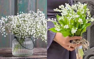 The Luxury Behind Runner-Up Phuong Nhi's Stunning Engagement Bouquet - image 4