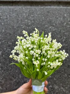 The Luxury Behind Runner-Up Phuong Nhi's Stunning Engagement Bouquet - image 7