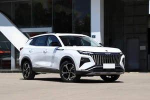 Chinese Gas and Hybrid Vehicles Set to Disrupt the Vietnam Automotive Market - image 6