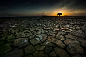 20 Breathtaking Wildlife Photos That Captured the World's Heart - image 4