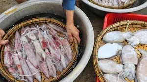 South Korea Spends $42 Million on Booming Seafood Imports: A Global Market Shift - image 1