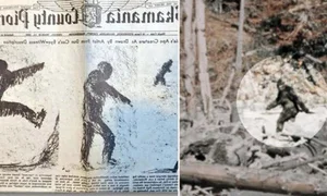 The Mystery of the Cryptid: Investigating the Creature with 60cm Long Feet - image 2