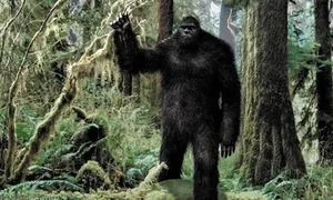 The Mystery of the Cryptid: Investigating the Creature with 60cm Long Feet - image 0