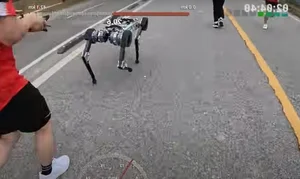 Robotic Dog Completes Full Marathon on a Single Charge - image 5