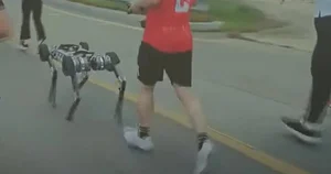 Robotic Dog Completes Full Marathon on a Single Charge - image 1
