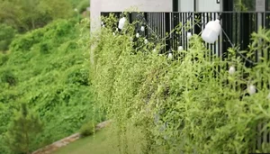 Inside the Stunning 2,000m2 Villa in Tam Đảo Worth 40 Billion VND - image 8