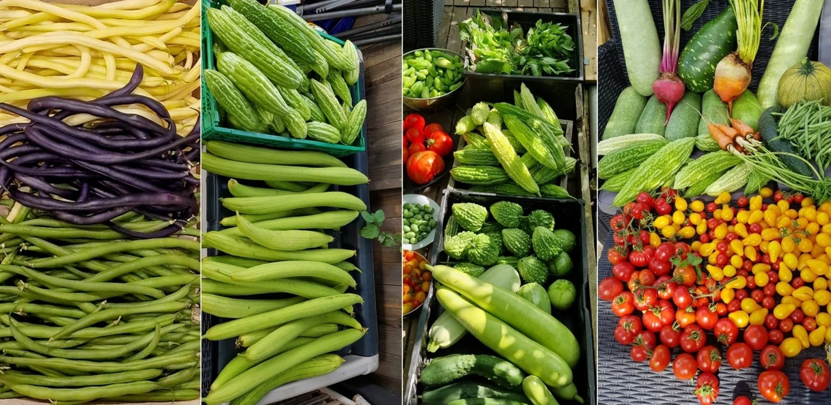 A Vietnamese Father’s Love: Bringing Home-Grown Freshness to the Family Table