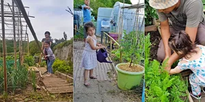 A Vietnamese Father’s Love: Bringing Home-Grown Freshness to the Family Table - image 6