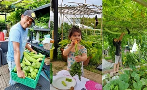 A Vietnamese Father’s Love: Bringing Home-Grown Freshness to the Family Table - image 5