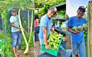 A Vietnamese Father’s Love: Bringing Home-Grown Freshness to the Family Table - image 4