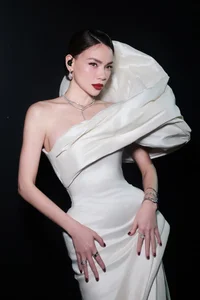 From Banker's Daughter to Top Vietnamese Celebrity Living in a 30 Billion VND Mansion - image 7