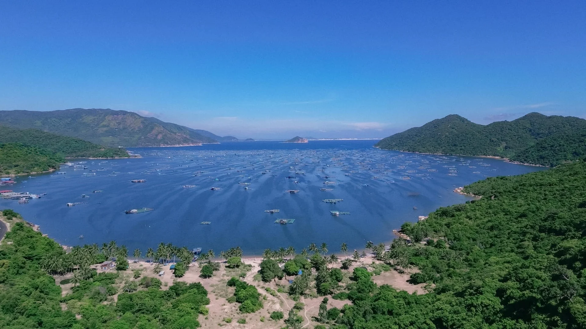 Discover Phu Yen: The Most Beautiful Season to Visit Vietnam's Coastal Paradise