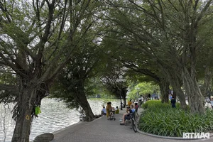 Large Wild Birds Spotted Nesting and Hunting at Hanoi’s Iconic Hoan Kiem Lake - image 3