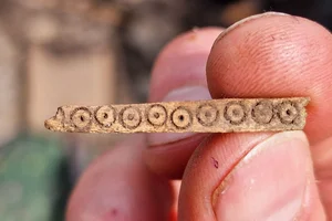 Mysterious Medieval Stone Head Discovered on Remote Island - image 1