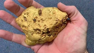 Incredible 1.4kg Gold Nugget Found Unexpectedly in Rural Field Discovery - image 7