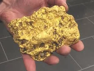 Incredible 1.4kg Gold Nugget Found Unexpectedly in Rural Field Discovery - image 1