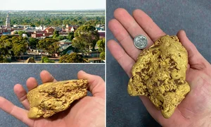 Incredible 1.4kg Gold Nugget Found Unexpectedly in Rural Field Discovery - image 5