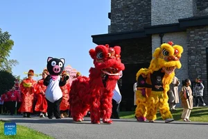 Spectacular New Year Celebrations in New Zealand and Australia - image 2