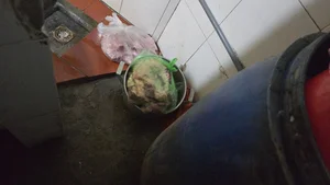 The Unsanitary State of Street Food Stalls in Hanoi: A Closer Look - image 0