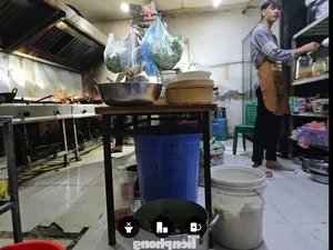The Unsanitary State of Street Food Stalls in Hanoi: A Closer Look - image 8