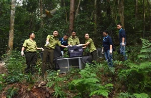 Conservation Success: Rare Bird Species Released into Tam Dao National Park - image 3