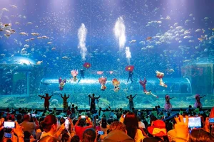 Experience the Magic of Phú Quốc United Center: Vietnam’s Premier Sleepless Festival Universe - image 4
