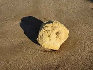 Lucky Fisherman Discovers Rare Ocean Treasure and Changes His Life - image 6