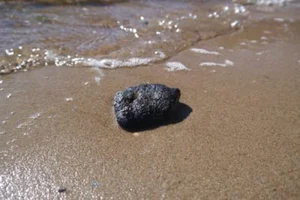 Lucky Fisherman Discovers Rare Ocean Treasure and Changes His Life - image 2