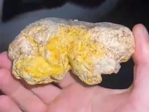 Lucky Fisherman Discovers Rare Ocean Treasure and Changes His Life - image 5