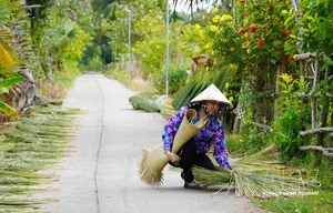 Traditional Sedge Grass Handicrafts by Artisans in An Giang - image 0