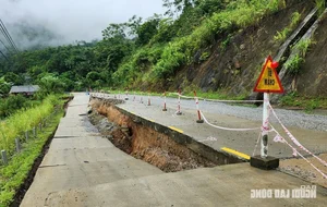 VIDEO: Landslide in Lao Cai Buries Six Members of a Single Family - image 1