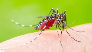 Top 8 Most Dangerous Animals You Should Never Encounter - image 10