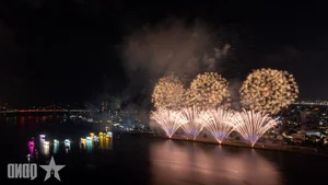 Da Nang International Fireworks Festival Finale: A Spectacular Night of Light and Art - image 6