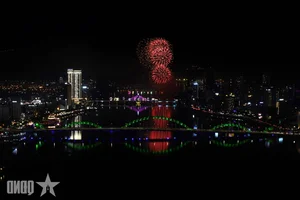 Da Nang International Fireworks Festival Finale: A Spectacular Night of Light and Art - image 5