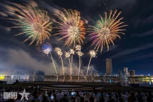 Da Nang International Fireworks Festival Finale: A Spectacular Night of Light and Art - image 4
