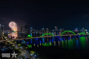 Da Nang International Fireworks Festival Finale: A Spectacular Night of Light and Art - image 7