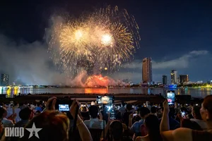 Da Nang International Fireworks Festival Finale: A Spectacular Night of Light and Art - image 3