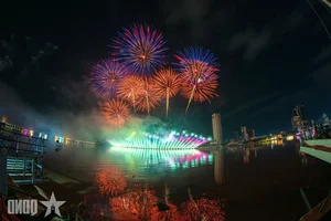 Da Nang International Fireworks Festival Finale: A Spectacular Night of Light and Art - image 10