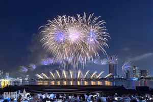 Da Nang International Fireworks Festival Finale: A Spectacular Night of Light and Art - image 2