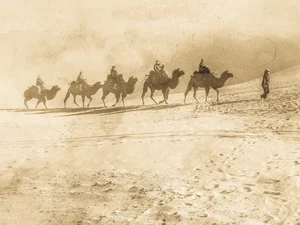 Uncovering Secrets: The Excavation of 200 Ancient Tombs in Xinjiang - image 3