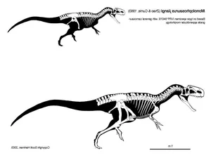 Unveiling the Bizarre Crested Carnivorous Dinosaur Discovered in China - image 2