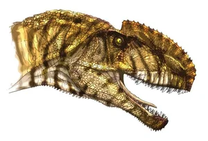 Unveiling the Bizarre Crested Carnivorous Dinosaur Discovered in China - image 5