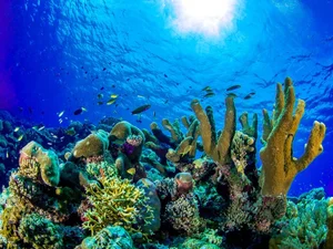Exploring the Wonders of the World’s Best Island Destination - image 7