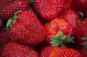 The $20 Strawberry Craze: Are These Luxury Fruits Really Worth the Hype? - image 4