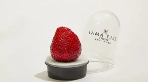 The $20 Strawberry Craze: Are These Luxury Fruits Really Worth the Hype? - image 7