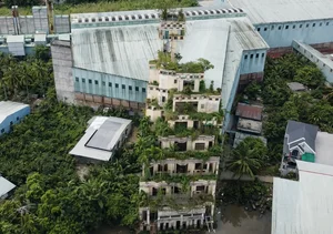 The Haunting Mystery of the Abandoned Six-Story Villa in the Heart of the Mekong Delta - image 0